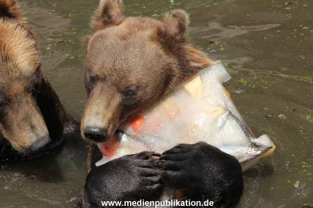 Hagenbeck 25072013 099
