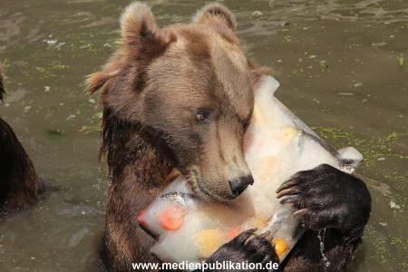 Hagenbeck 25072013 101