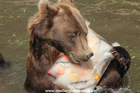 Hagenbeck 25072013 102