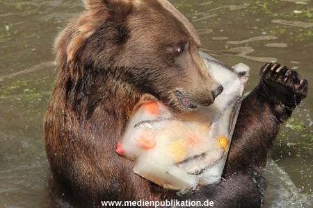 Hagenbeck 25072013 103