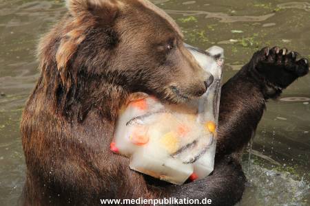 Hagenbeck 25072013 104