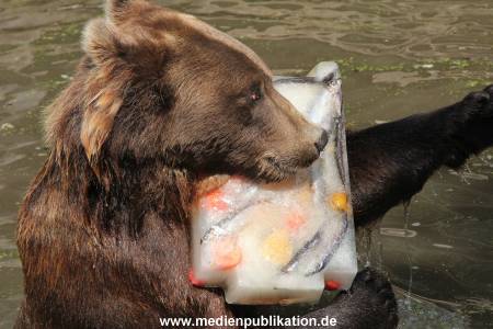 Hagenbeck 25072013 105