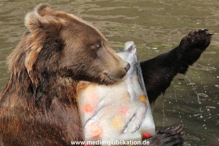 Hagenbeck 25072013 106