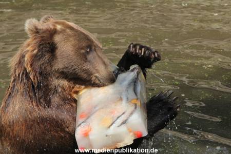 Hagenbeck 25072013 107