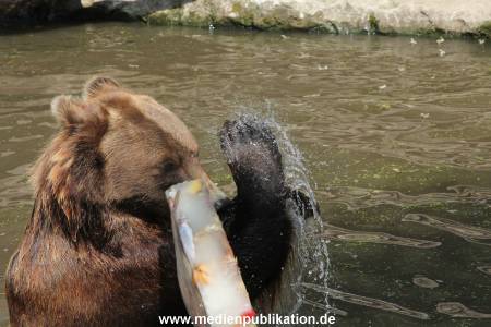 Hagenbeck 25072013 108
