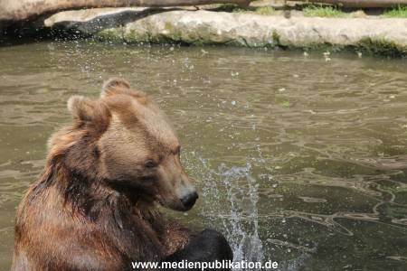 Hagenbeck 25072013 109