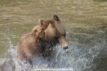Hagenbeck 25072013 110