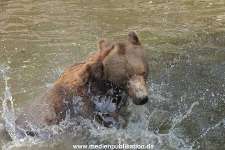 Hagenbeck 25072013 111