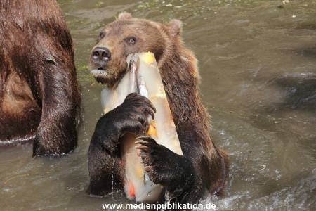 Hagenbeck 25072013 112