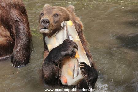 Hagenbeck 25072013 113