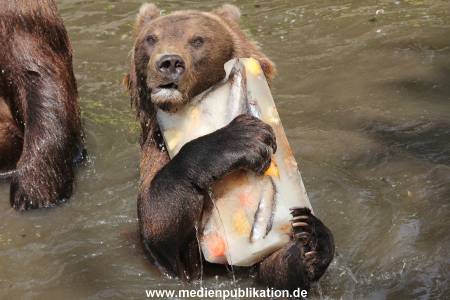 Hagenbeck 25072013 114