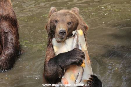 Hagenbeck 25072013 115