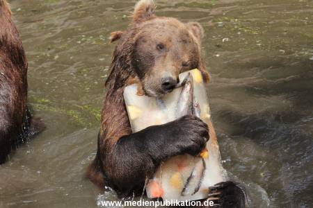 Hagenbeck 25072013 116