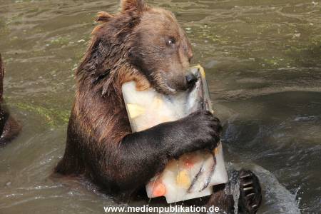Hagenbeck 25072013 117