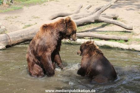 Hagenbeck 25072013 118
