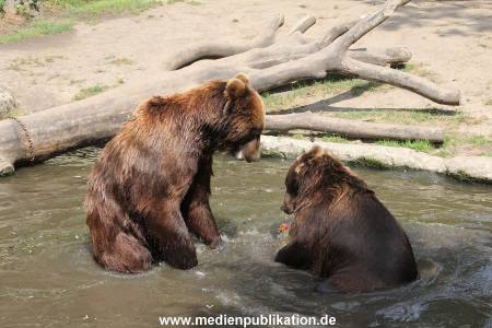 Hagenbeck 25072013 119