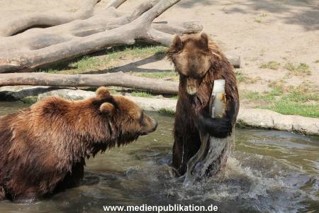 Hagenbeck 25072013 120