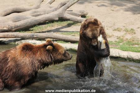 Hagenbeck 25072013 121