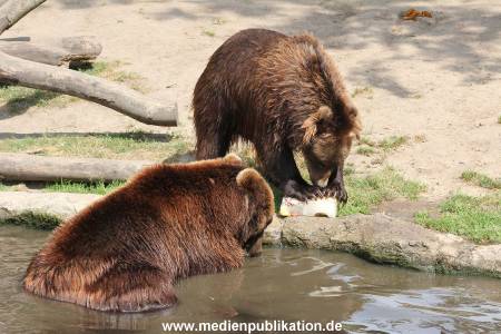 Hagenbeck 25072013 122