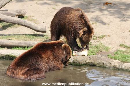 Hagenbeck 25072013 123
