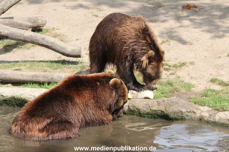 Hagenbeck 25072013 124