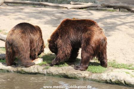Hagenbeck 25072013 125