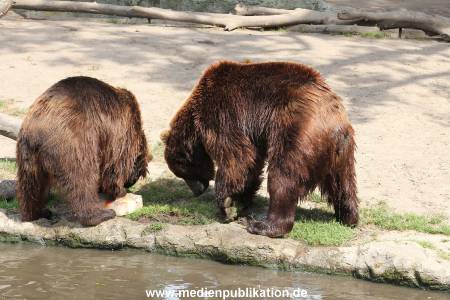 Hagenbeck 25072013 126