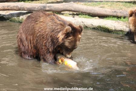 Hagenbeck 25072013 127