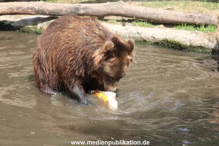 Hagenbeck 25072013 128
