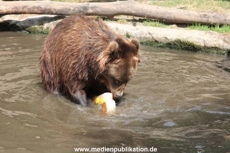 Hagenbeck 25072013 129