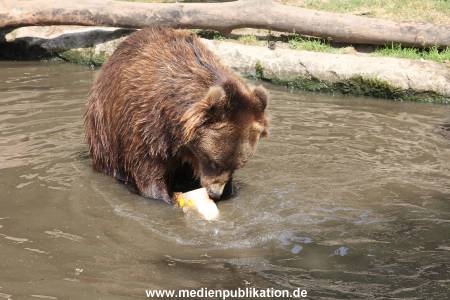 Hagenbeck 25072013 130