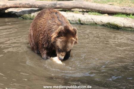 Hagenbeck 25072013 131