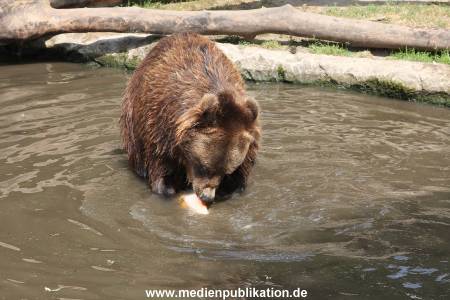 Hagenbeck 25072013 132