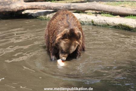 Hagenbeck 25072013 133