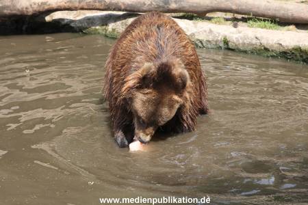 Hagenbeck 25072013 134