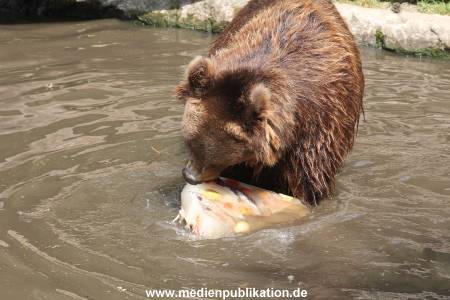 Hagenbeck 25072013 135