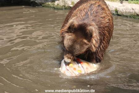 Hagenbeck 25072013 136