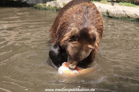 Hagenbeck 25072013 137