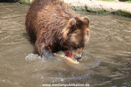Hagenbeck 25072013 138