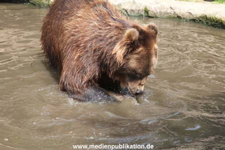 Hagenbeck 25072013 139