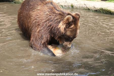 Hagenbeck 25072013 140