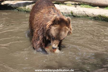 Hagenbeck 25072013 141