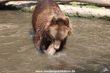 Hagenbeck 25072013 142