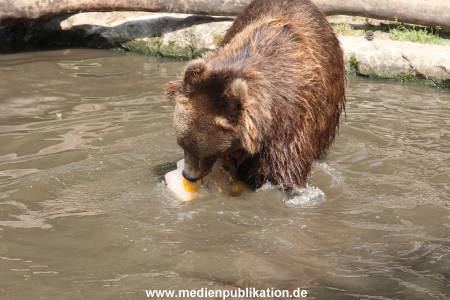 Hagenbeck 25072013 143