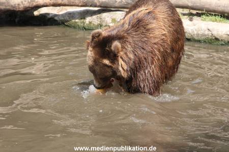 Hagenbeck 25072013 144