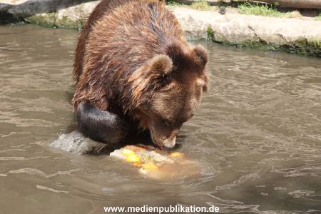 Hagenbeck 25072013 145