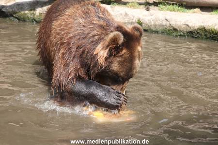 Hagenbeck 25072013 146