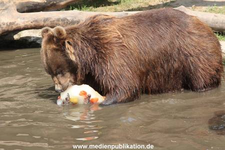 Hagenbeck 25072013 147