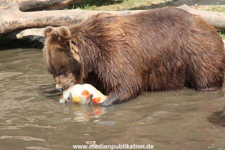 Hagenbeck 25072013 148