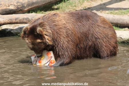 Hagenbeck 25072013 149